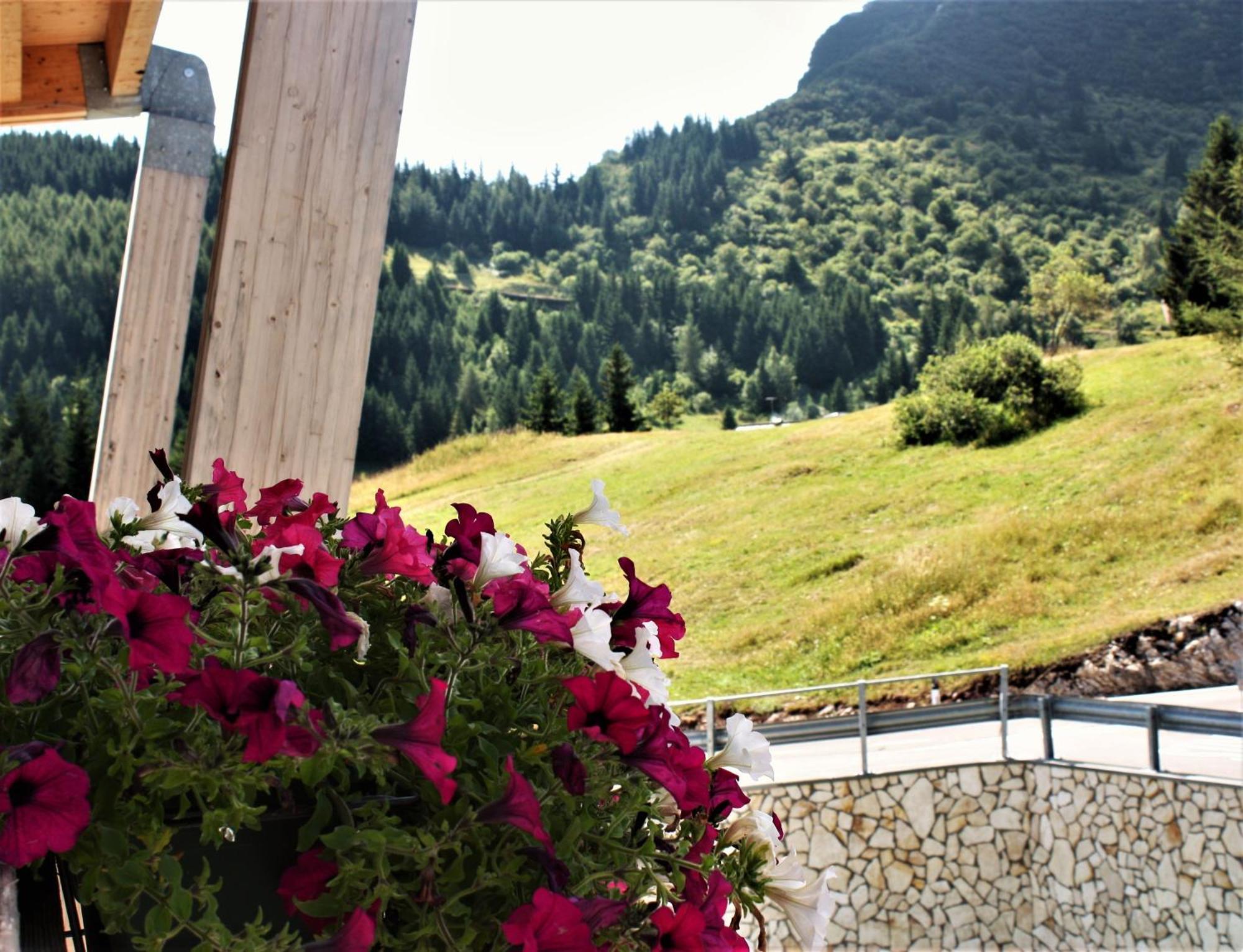 Brenta Dolomites Hotell Vason Eksteriør bilde